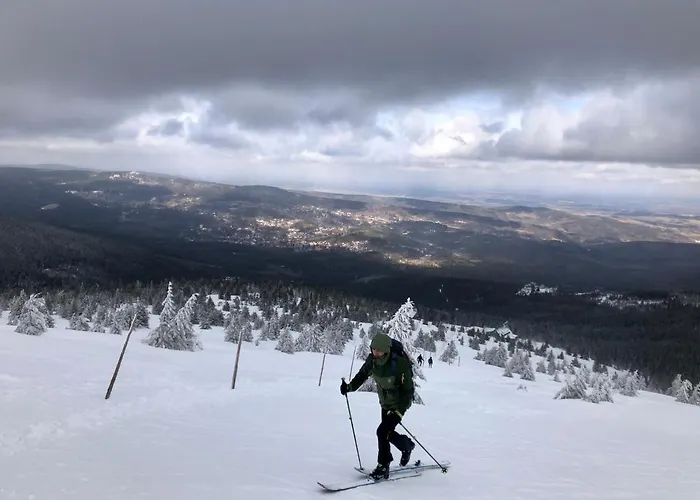Tyrolczyk Domek alpejski